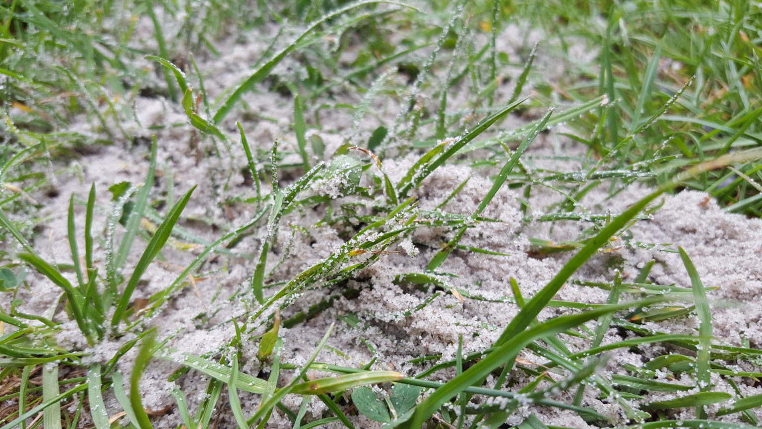 Rasen begradigen Maschine für einen geraden Rasen?