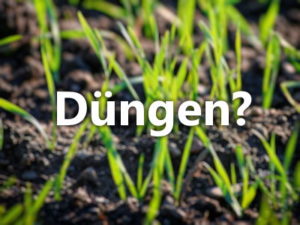 Frisch gesäten Rasen düngen » Nur so wirkt Dünger (nach Aussaat)