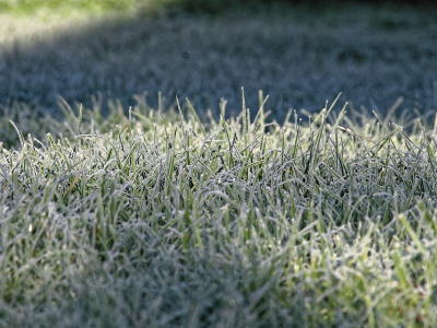 Rasen mähen bei Frost