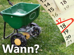 Welchen Rasendünger im Frühjahr verwenden?