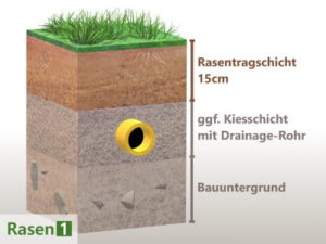 Reihenfolge der Rasenpflege Wann kommt was?