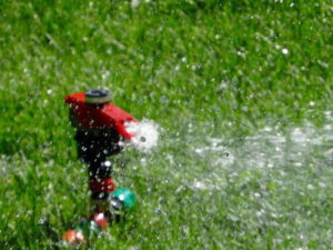 Kategorie Rasenbewässerung: Alles rund um die Bewässerung