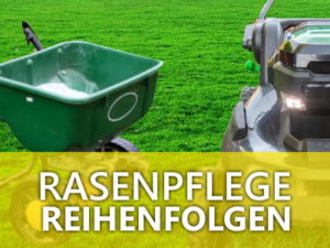 Hundeurin auf Rasen » Verbrannten Rasen (wirksam) verhindern