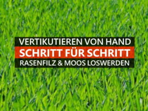 Rasen von Hand vertikutieren » 3 Schritte fürs Handvertikutieren