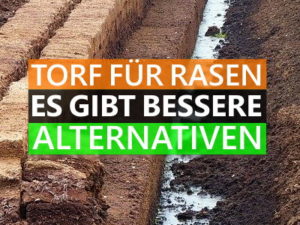 Torf für Rasen » Diese 5 Alternativen sind besser für den Rasen!