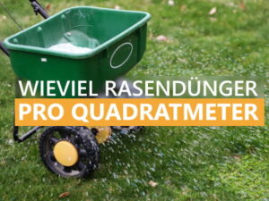 Wieviel Rasendünger pro qm?
